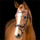 Montar Normandie hoofdstel bruin